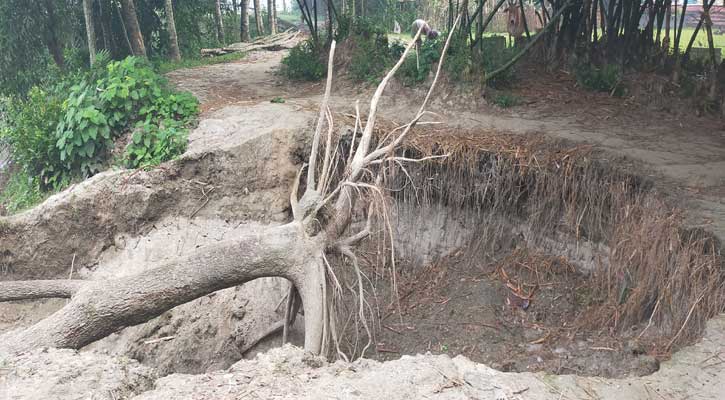 নান্দাইলে কাঁচা সড়ক ভেঙে বড় গর্তের সৃষ্টি; ঝুঁকি নিয়ে চলাচল 