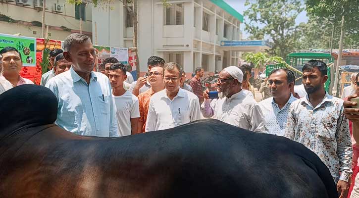 মাদারগঞ্জে প্রাণিসম্পদ সেবা সপ্তাহের উদ্বোধন ও প্রদর্শনী