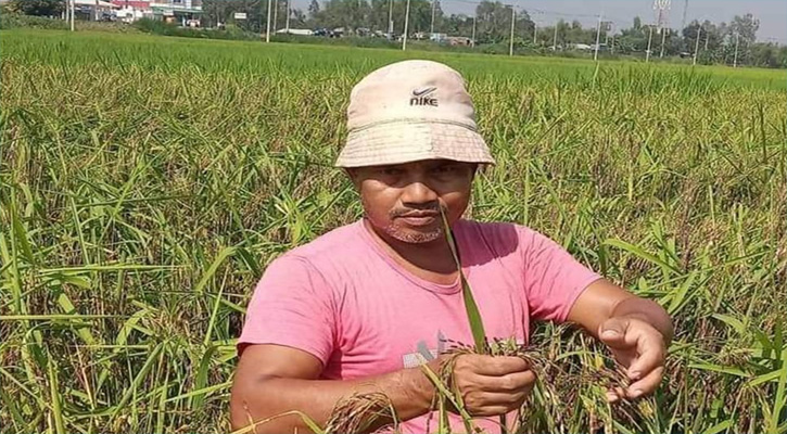 ব্ল্যাকরাইস জাতের ধান আবাদে সাড়া ফেলেছেন  শফিকুল