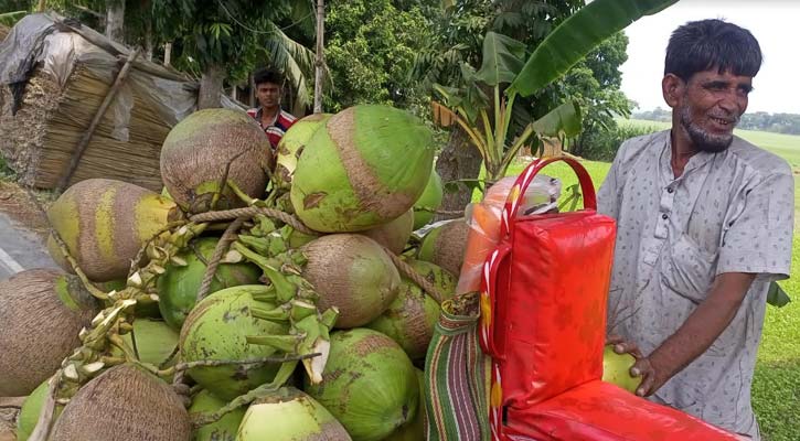 গরমে বেড়েছে ডাবের চাহিদা, বেড়েছে দাম