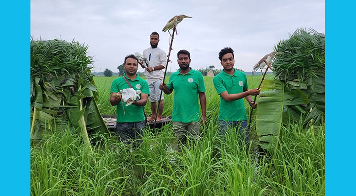 চলনবিলে ১৫টি বক অবমুক্ত