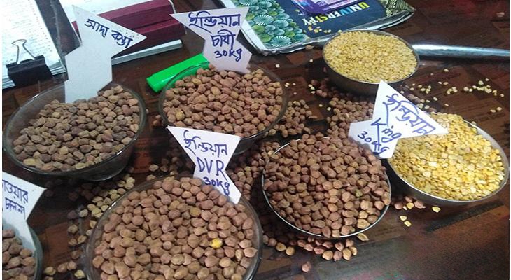 রোজার বাজার দখল করেছে অস্ট্রেলিয়ান ছোলা!