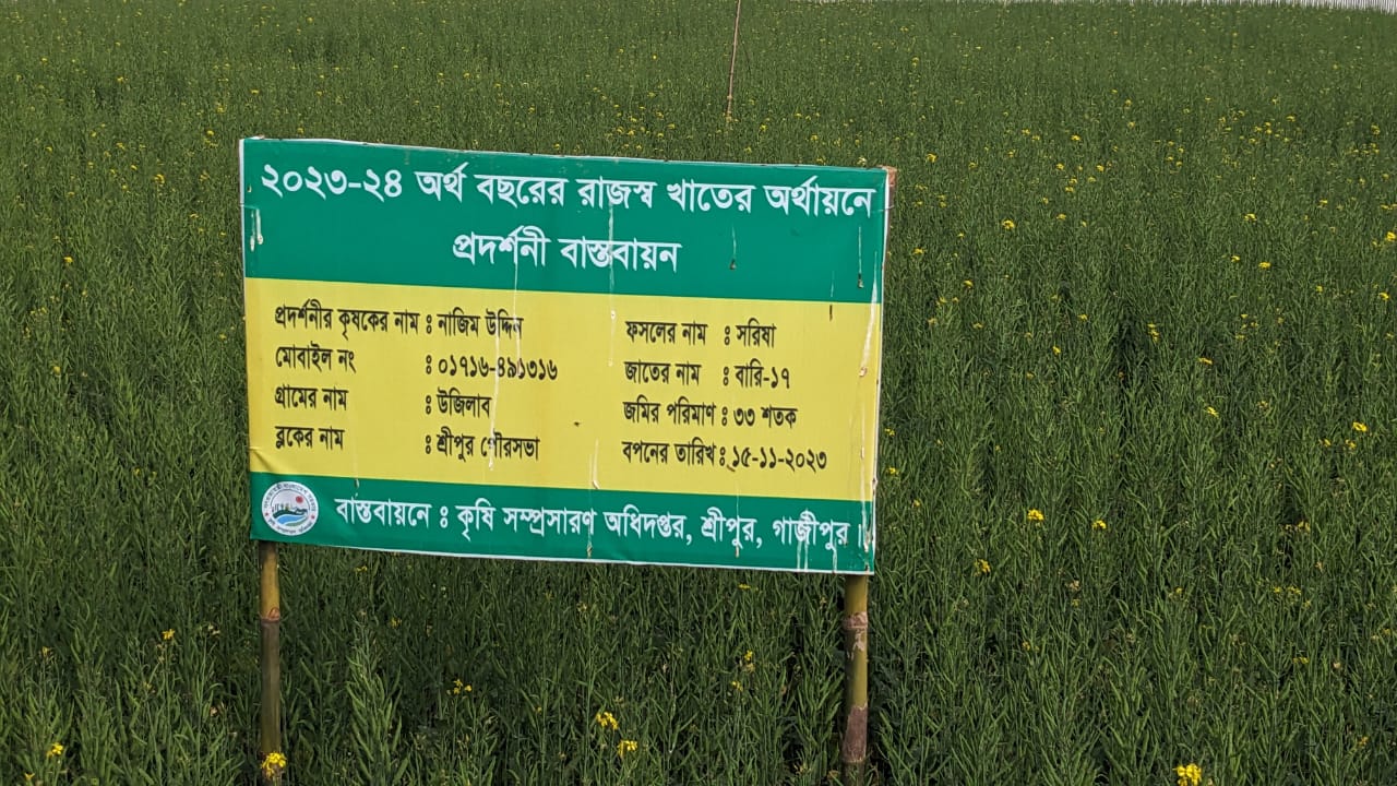 “সরিষার বাম্পার ফলন, কৃষকের মুখে হাসি”