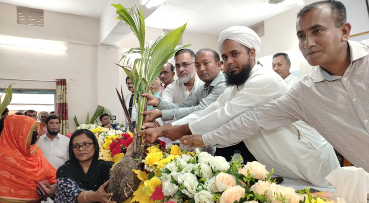 আমতলীতে কৃষকদের মাঝে নারিকেল চারা রাসায়নিক সার ও ধানের বিজ বিতরণ