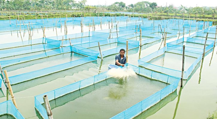 প্রচণ্ড তাপদাহে নষ্ট হচ্ছে ডিম ও ব্রুট