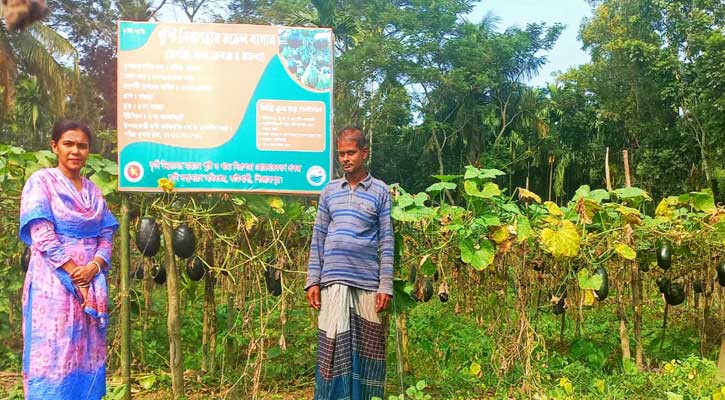 কাউখালীতে সবজি চাষের সাফল্য কৃষি উদ্যোক্তা নাজির হোসেন