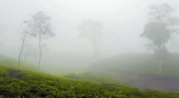 শ্রীমঙ্গলে আজ সর্বনিম্ন তাপমাত্রা ৮.৫