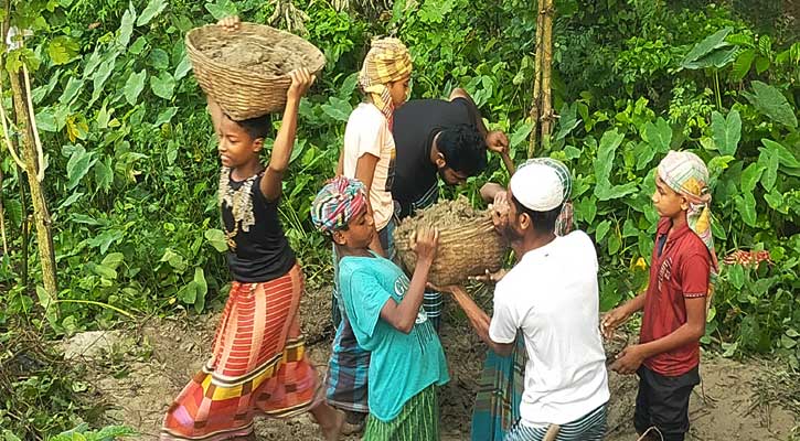 নান্দাইলে স্বেচ্ছাশ্রমে বেড়িবাঁধের গর্ত ভরাট করলো মাদ্রাসার শিক্ষক- ছাত্র