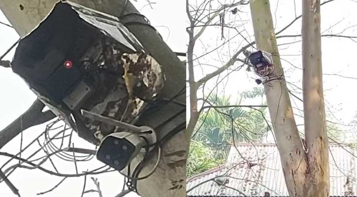 ভূরুঙ্গামারীর সীমান্তে শূণ্য রেখায় বিএসএফ এর সিসি ক্যামেরা স্থাপনে উত্তেজনা