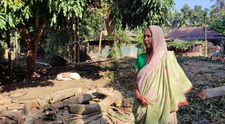 হিন্দু বৃদ্ধার জমি দখল ও ঘরবাড়ি ভাঙচুর, থানায় অভিযোগ