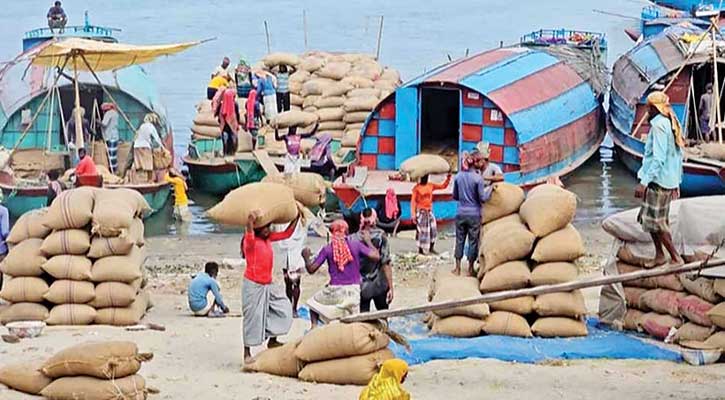 ব্রাহ্মণবাড়িয়ার আশুগঞ্জ মোকামে ৮০ শতাংশ কমেছে ধান বেচাকেনা