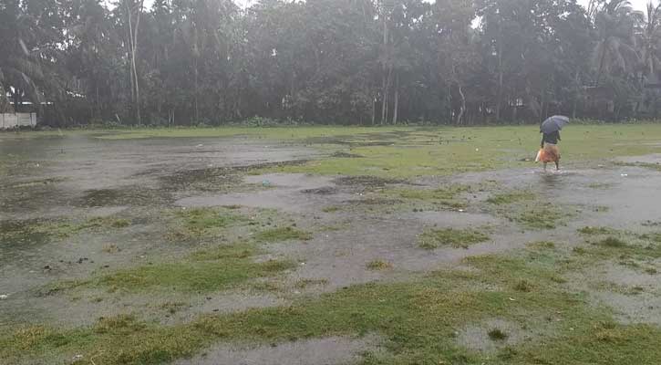 দমকা হাওয়া ও বৃষ্টিতে কাউখালীতে ফসলের ব্যাপক ক্ষতি