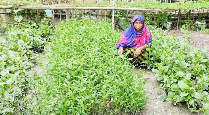 কুড়িগ্রামে চরাঞ্চলে সমন্বিত শাক-সবজি চাষে লাভবান হচ্ছে কৃষকেরা