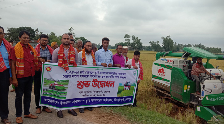 ঝিনাইগাতীতে সমলয় পদ্ধতিতে বোরো ধান কর্তনের উদ্বোধন