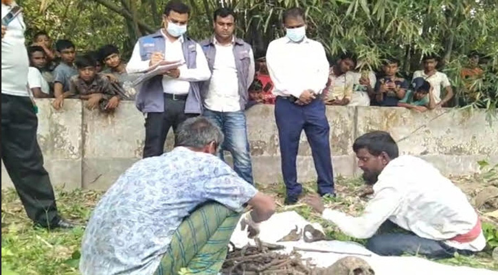 গৌরীপুরে আদালতের নির্দেশে ৩ বছর পর কবর থেকে লাশ উত্তোলন