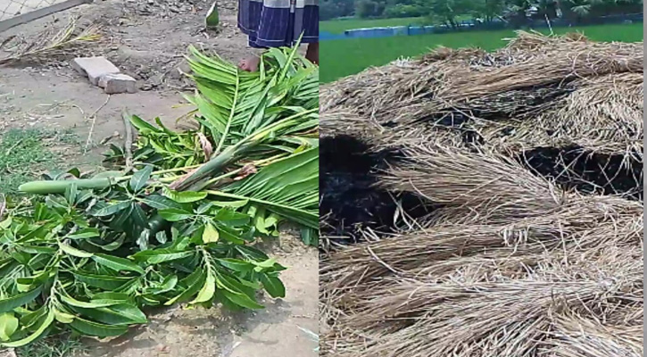 তানোরে খড়ের পালা ও গাছ কাটার ঘটনায় থানায় অভিযোগ