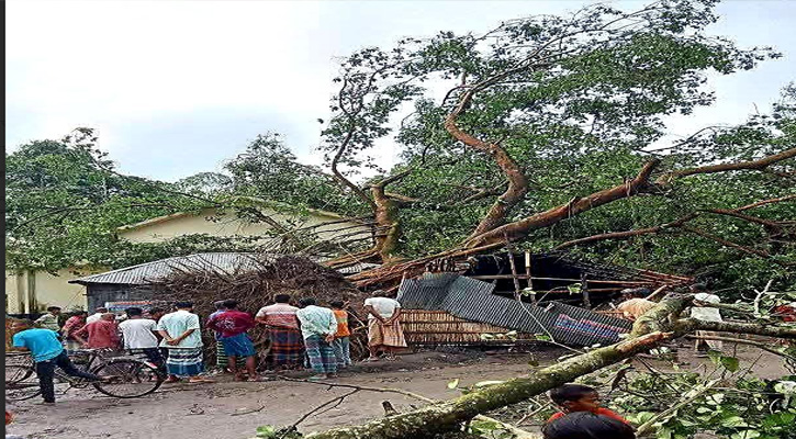 গোবিন্দগঞ্জে ঝড়ের রাতে বটগাছ ভেঙে চায়ের দোকানে নারী নিহত