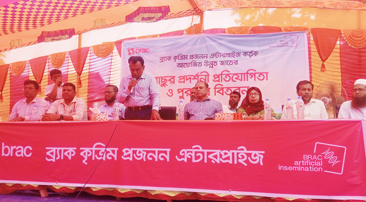 গৌরীপুরের  ব্র্যাকের কৃত্রিম প্রজননে উন্নত জাতের বাছুর প্রদর্শনী ও পুরস্কার বিতরণ অনুষ্ঠিত