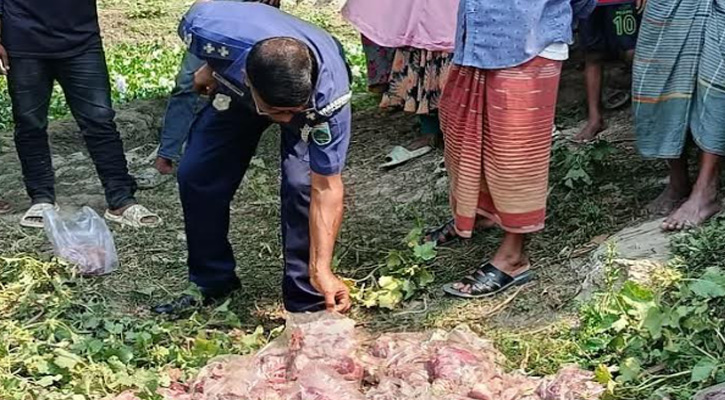 বদলগাছীতে ব্রিজের নিচ থেকে পরিত্যক্ত অবস্থায় ৮৪ প্যাকেট মাংস উদ্ধার