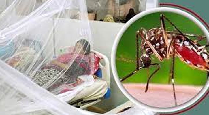 সারা দেশে ডেঙ্গুতে দুইজনের মৃত্যু