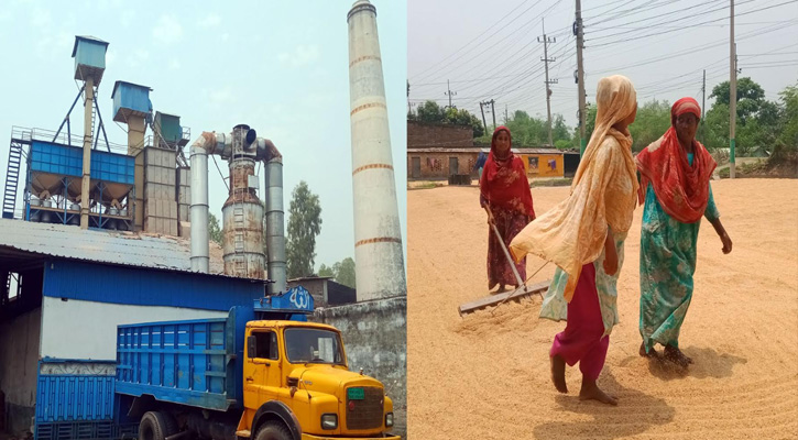 আদমদীঘিতে বন্ধ হয়ে গেছে ২৩০ হাসকিং চাতাল মিল