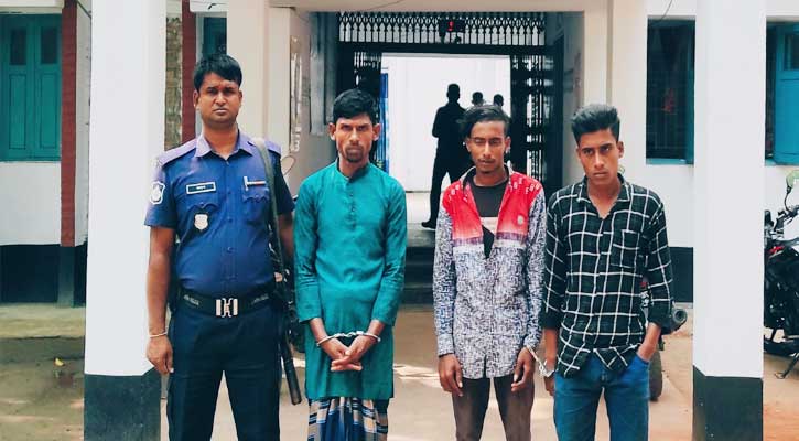 মোসলেমগঞ্জে ব্যাটারী চালিত অটোভ্যান চুরি; গ্রেফতার তিন
