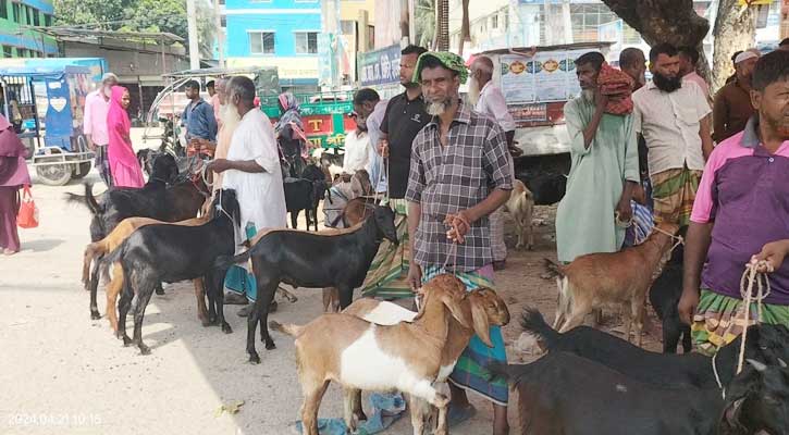 গৌরীপুর বাজার ইজারা নিয়ে দ্বন্দ্ব, সংঘর্ষের আশংকা