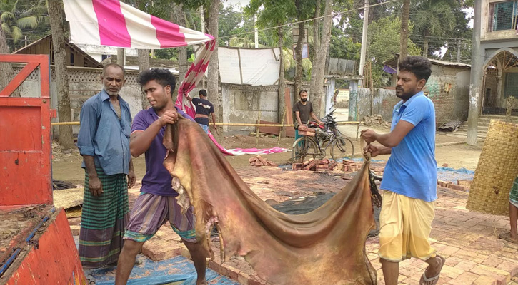 কোরবানির পশুর চামড়া নিয়ে বিপাকে ব্যবসায়ীরা
