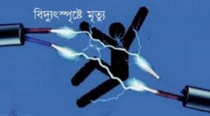 মঠবাড়িয়ায় বৈদ্যুতিক ফাঁদে শ্রমিকের মৃত্যু
