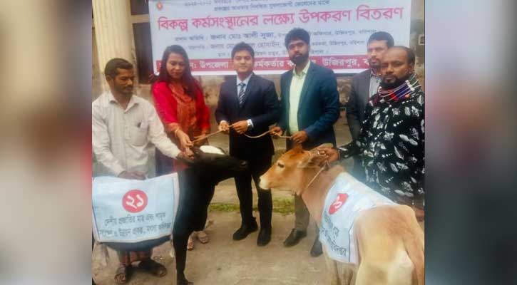 উজিরপুরে জেলেদের মাঝে বাছুর গরু বিতরন