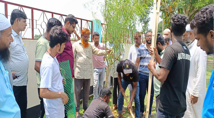 রাণীশংকৈলে ৩৫টি শিক্ষাপ্রতিষ্ঠানে শুভ শক্তি ইউনিটির গাছের চারা রোপণ