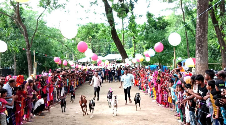 কেশবপুরে ছাগলের দৌড় প্রতিযোগিতা, প্রথম পুরস্কার ঘড়ি