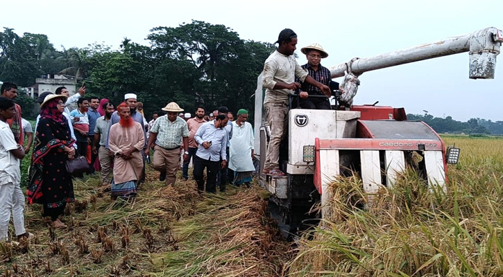 কালীগঞ্জে কম্বাইন হারভেস্টারে ধান কর্তন আনুষ্ঠানিক উদ্বোধন