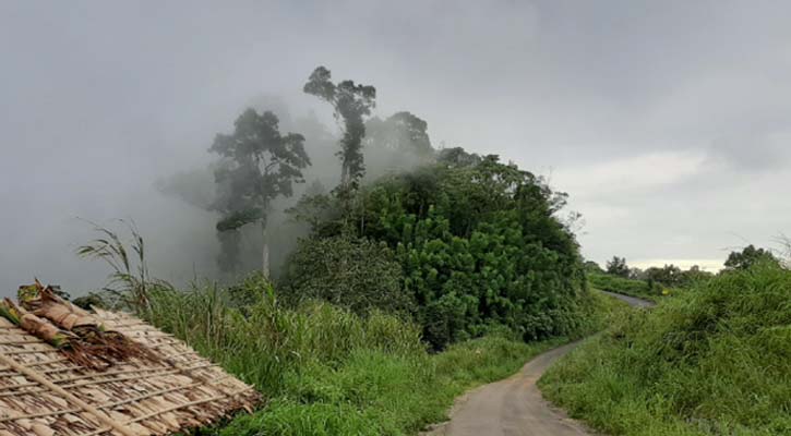 প্রাকৃতিক সৌন্দর্যের লীলাভূমি ডিম পাহাড়