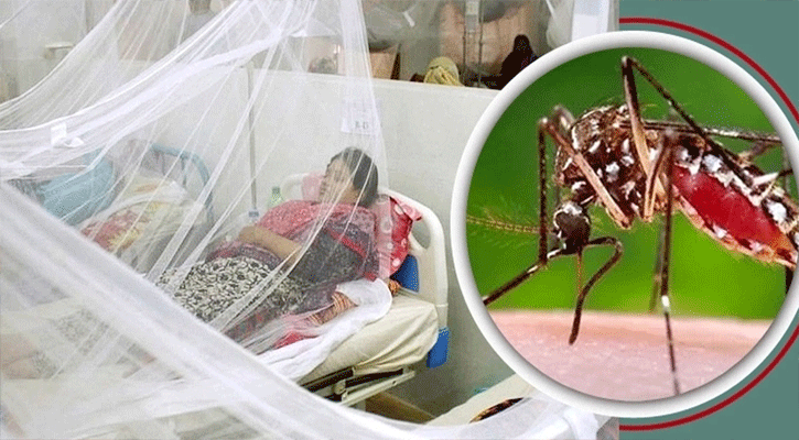 সারাদেশে ডেঙ্গুতে  আরও ৫ জনের