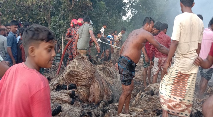 চাঁপাইনবাবগঞ্জে পাট ব্যবসায়ীর ৩ লাখ টাকার পাট পুড়ে ছাই