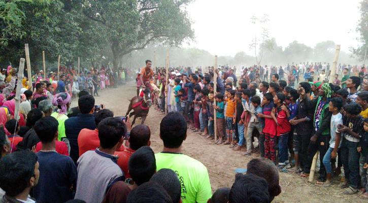 ঐতিহ্যবাহী ঘোড়া দৌড় দেখতে আম বাগানে হাজারো মানুষের ভিড়