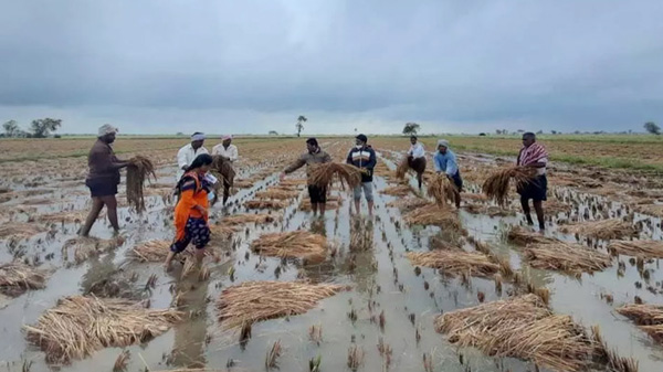 পাকিস্তানে বজ্রঝড়ে  ২২ জনের মৃত্যু