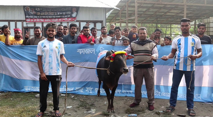 কোটালীপাড়ায় আর্জেন্টিনার সমর্থকদের গরু জবাই করে ভূরিভোজের আয়োজন