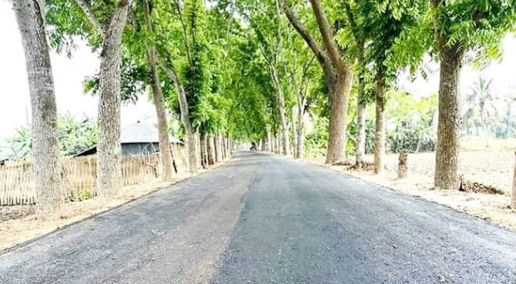 সড়ক-সেতুর উন্নয়নে বদলে গেছে শালিখা