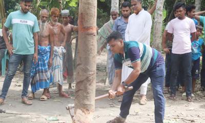 কেটে ফেলা হয়েছে ‘কথা বলা’ সেই গাছ