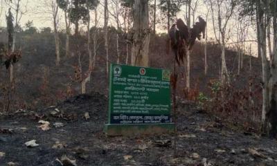 রাঙ্গুনিয়ায় ৮একর সরকারি বাগান পুড়েছে আগুনে