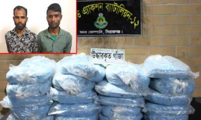 সলঙ্গায় গাঁজাসহ দুই মাদক কারবারি গ্রেপ্তার