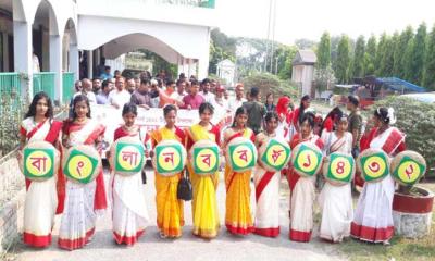 সালথায় বর্ণাঢ্য আয়োজনে বাংলা বর্ষবরণ