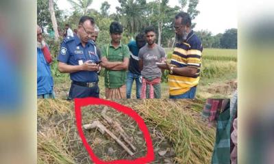 শার্শায় ধানক্ষেত থেকে দু’টি পাইপগান উদ্ধার