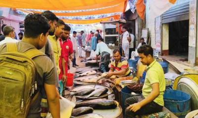 নববর্ষে জমজমাট আড়াইশো বছরের পুরোনো মাছের মেলা