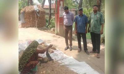 তানোরে রাস্তা পরিদর্শনে ইউএনও লিয়াকত সালমান, কাঁচা রাস্তা পাকাকরণের আশ্বাস