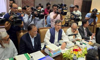 সংস্কার নিয়ে বিএনপি সিরিয়াস: সালাহউদ্দিন আহমেদ