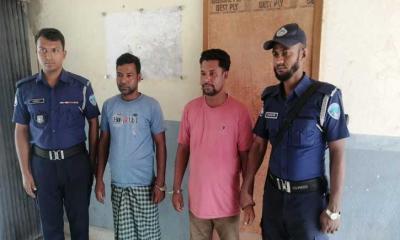 ব্রাহ্মণবাড়িয়ায় প্রবাসীর স্ত্রীকে গাছে বেঁধে নির্যাতন, দুই ভাসুর গ্রেফতার