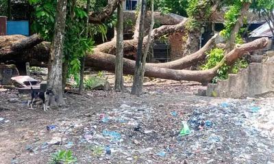 নলছিটি শহীদ মিনারের পাশে ভয়াল নেশার আসর, উদ্বিগ্ন স্থানীয়রা